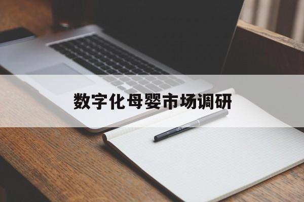 永州市数字化母婴市场调研(数字化母婴市场调研报告)